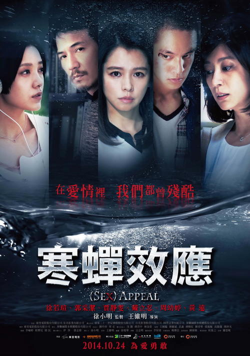 国际驾照是什么样的图片